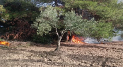 Mudanya Çağrışan’da tarım arazisinde çıkan yangın korkuttu