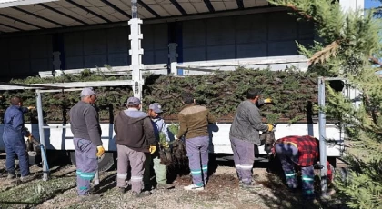 Nevşehir tarihinin en büyük ağaçlandırma seferberliği başlıyor.