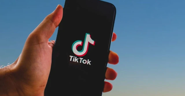 TikTok milyonlarca içeriği kaldırdı