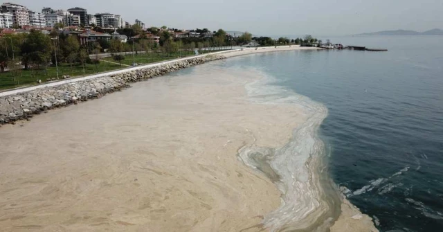 Uzman isim "ciddi tehdit" diyerek uyardı: Marmara'yı sarmış durumda