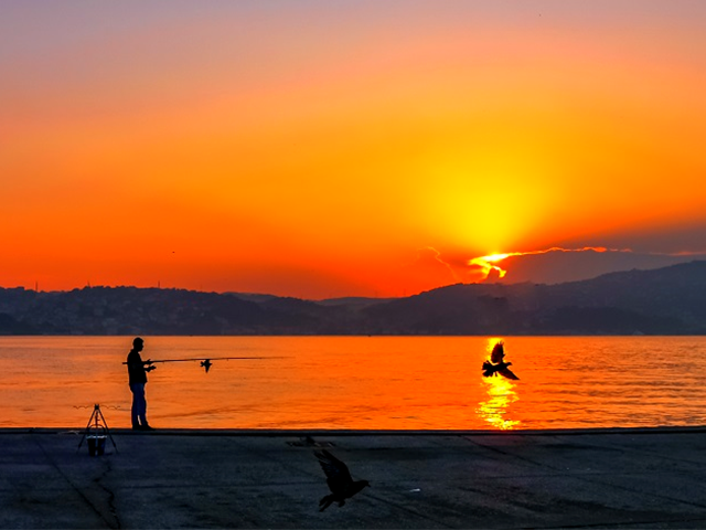 Boğaz Balıkçıları