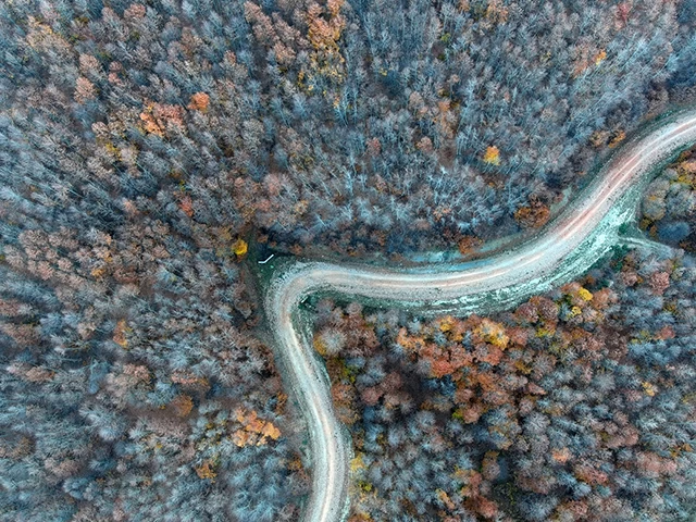 Boyalı Dağı'nın tabloyu andıran ağaçları dronla görüntülendi