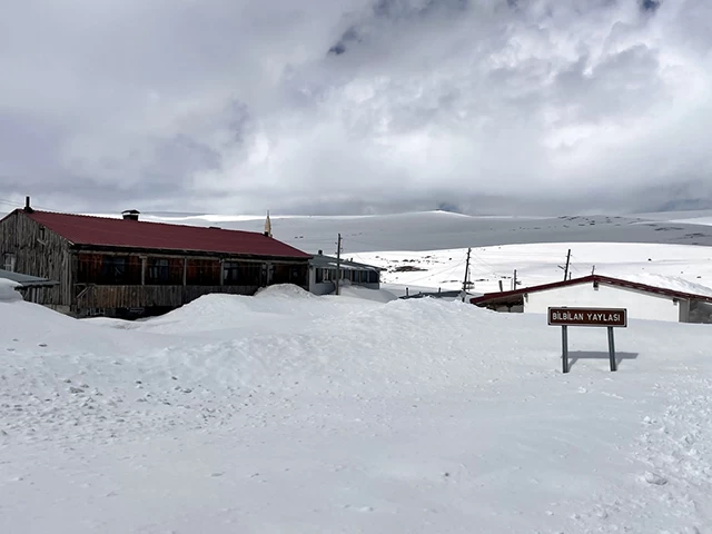 Ardahan'ın yüksek kesimlerinde kar yağışı etkili oldu