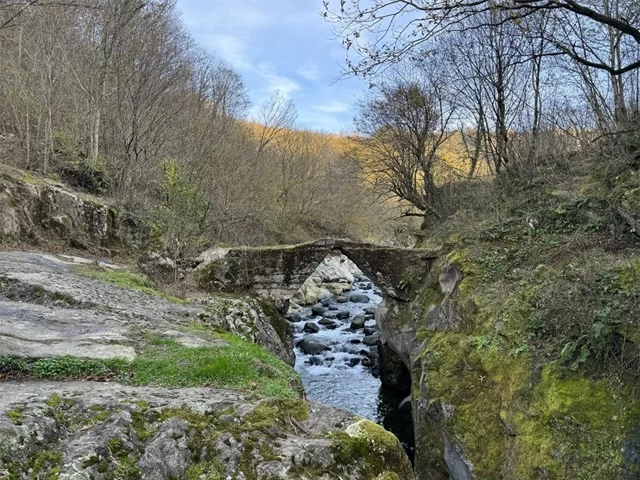 Karadeniz’in doğal güzelliği: Çamaş Kanyonu