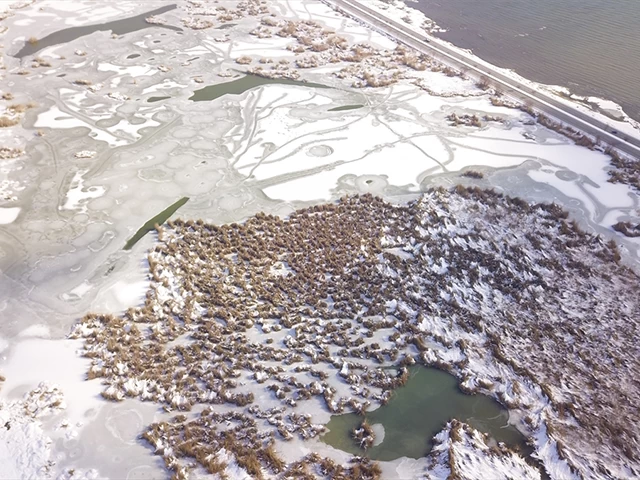 Yüzeyi buzla kaplanan Ahlat'taki "Kuş Cenneti" dronla görüntülendi