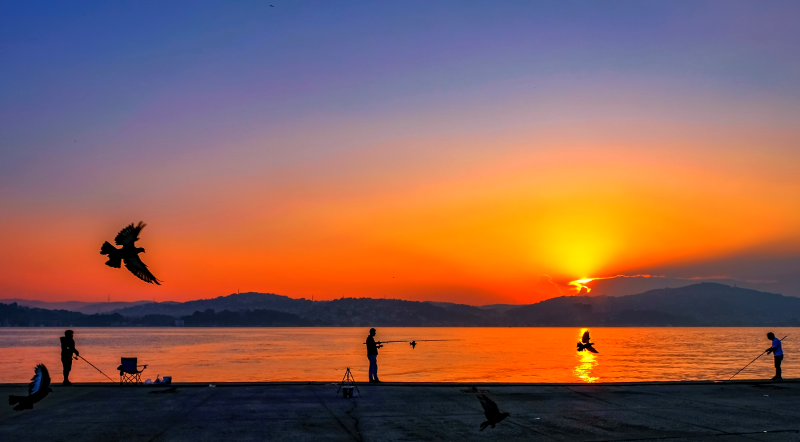 Boğaz Balıkçıları