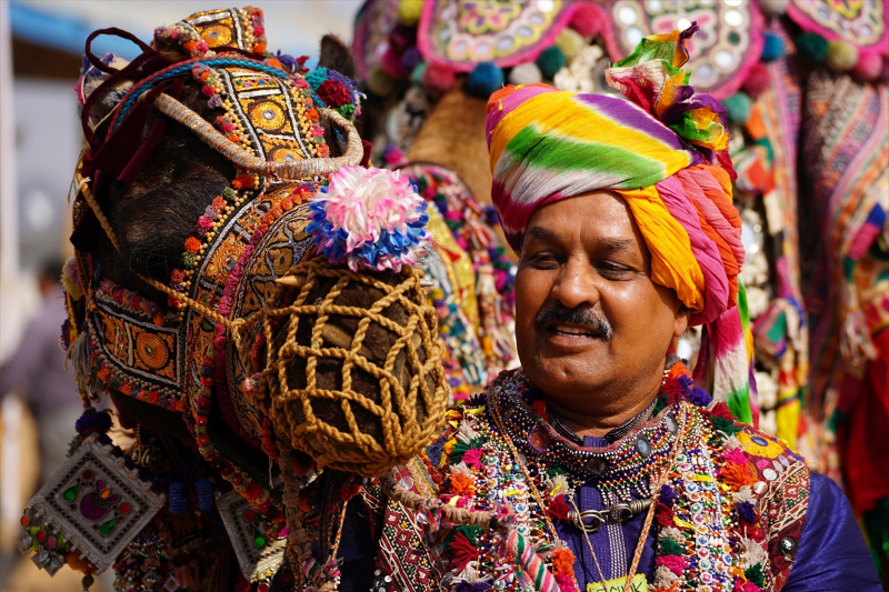 Hindistan'da geleneksel Pushkar Deve Festivali gerçekleştirildi