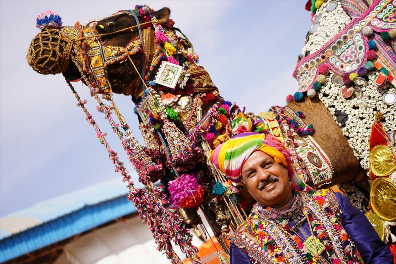 Hindistan'da geleneksel Pushkar Deve Festivali gerçekleştirildi