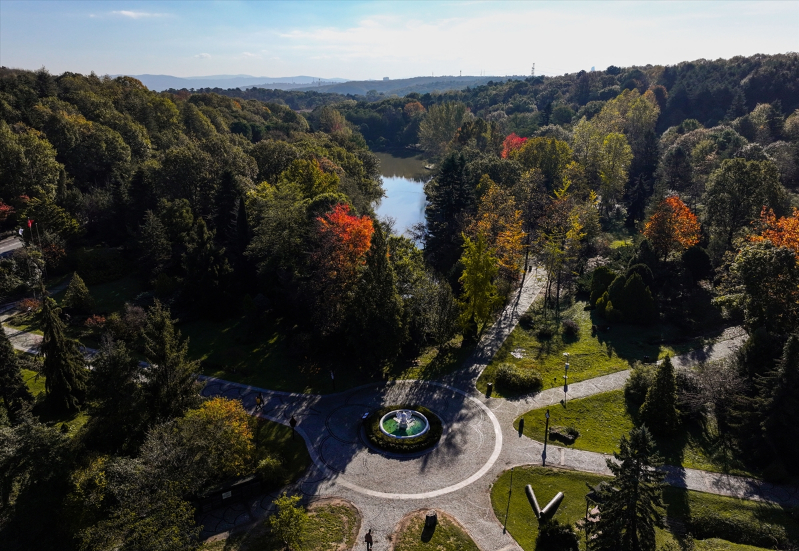 Atatürk Arboretumu'nda sonbahar renkleri