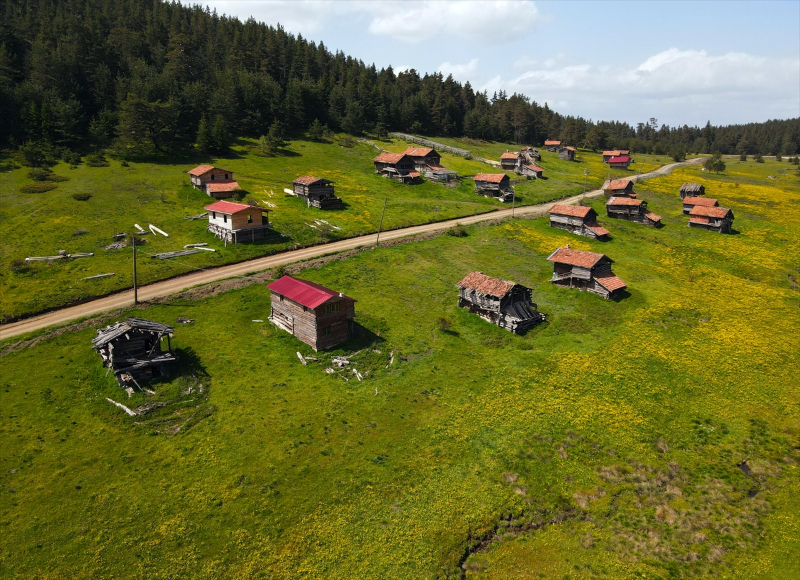 Baharın tüm renklerini barındıran Araç yaylaları