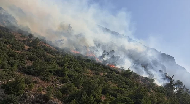 Aydın’ın Söke ilçesinde orman ve makilik alanda yangın çıktı