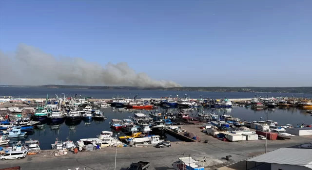 GÜNCELLEME  Beykoz’da ormanlık alanda yangın çıktı