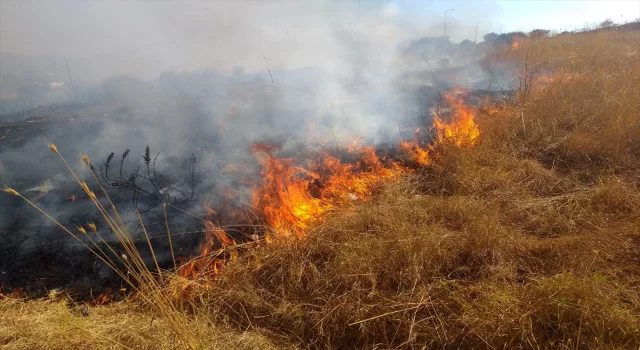 Maltepe’de otluk alanda çıkan yangın söndürüldü