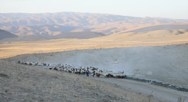 Van’da kırsalda susuz kalan küçükbaş hayvan sürülerine belediye ekipleri tankere su taşıdı