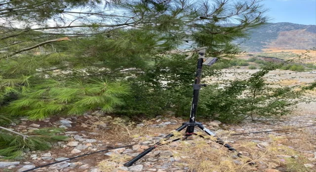 Antalya’da ”can suyu havuzları”ndan su içen yaban hayvanları fotokapanla görüntülendi