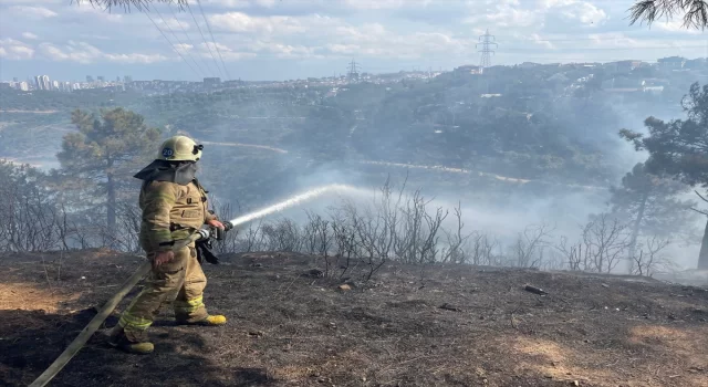 Sultangazi’de ormanlık alanda yangın çıktı