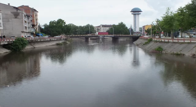 Tokat’ta Yeşilırmak Nehri’ndeki balık ölümüyle ilişkin araştırma başlatıldı