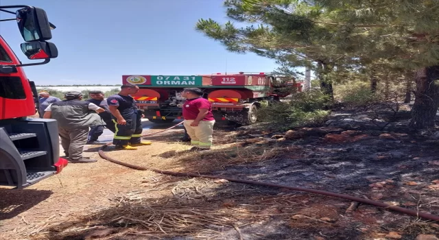 Antalya’da çıkan orman yangını söndürüldü