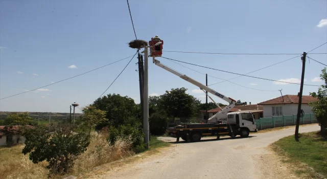 Tekirdağ’da leylek yuvalarının bakımları yapıldı