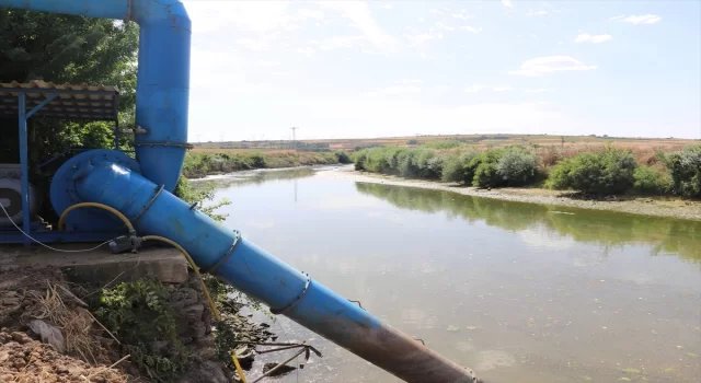 Tunca Nehri’nde kuraklık sebebiyle kontrollü sulamaya geçildi