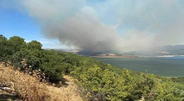 Çanakkale’de tarım arazisinde çıkıp ormanlık alana sıçrayan yangına müdahale ediliyor