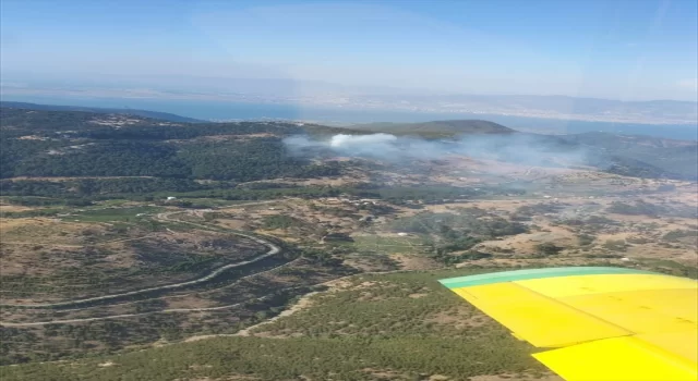 İzmir’de çıkan orman yangınına müdahale ediliyor 