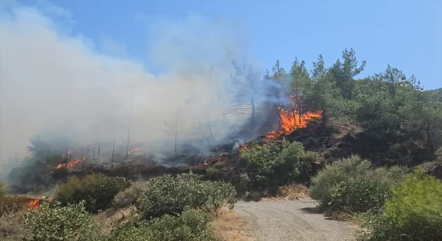 Hatay’da çıkan orman yangınına müdahale ediliyor