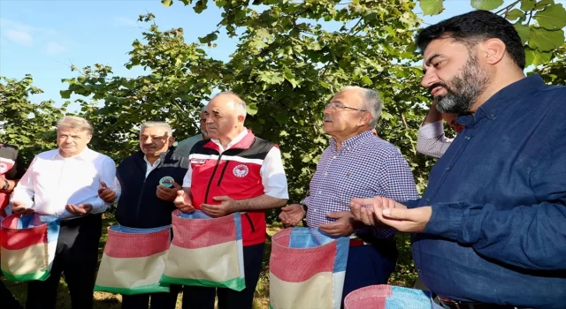 Ordu’da protokol üyeleri üreticilerle fındık hasadı gerçekleştirdi