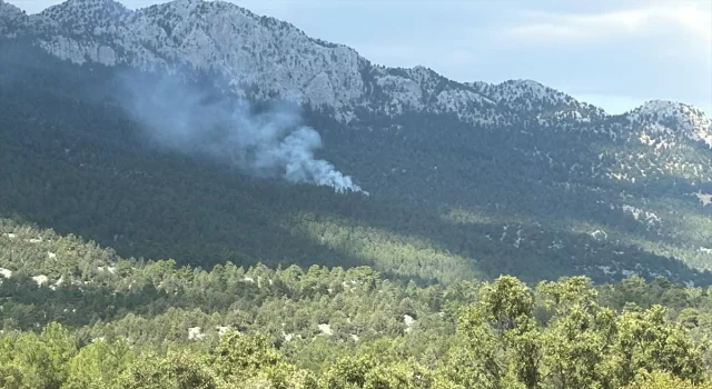 Antalya’nın Akseki ilçesinde orman yangını çıktı