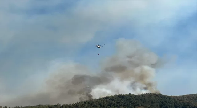 Uşak’ta otluk alanda başlayan yangın ormana sıçradı