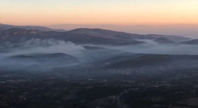 Aydın’ın Bozdoğan ilçesindeki orman yangınına müdahale sürüyor