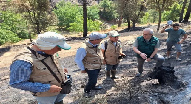 TARSİM’den Aydın ve Muğla’daki yangından etkilenen tarım alanlarını ziyaret