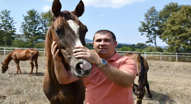 Bilecik’te hara kuran girişimci, yarış atı yetiştiriyor