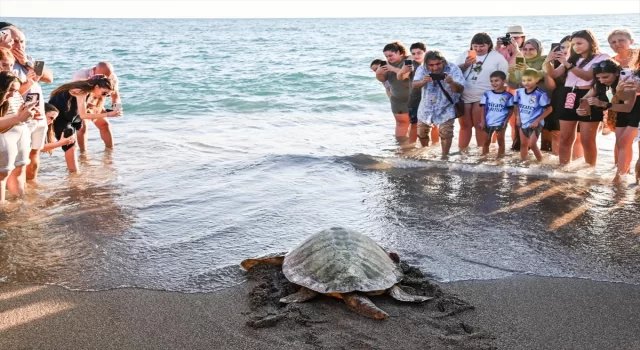 Antalya’da tedavileri tamamlanan iki caretta caretta denize bırakıldı