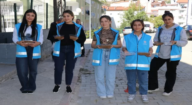 Amasya’da sokakları gezen öğrenciler kedi ve köpekler için mama ve su bıraktı