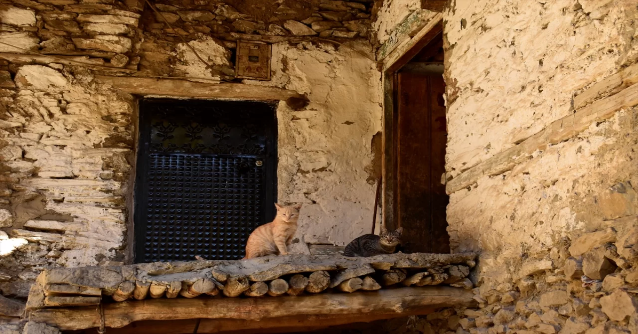 Bitlis’teki taş evlerde sonbahar güzelliği