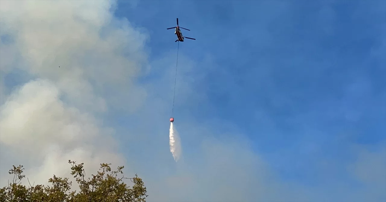 Antalya’da ormanlık alanda çıkan yangına müdahale ediliyor