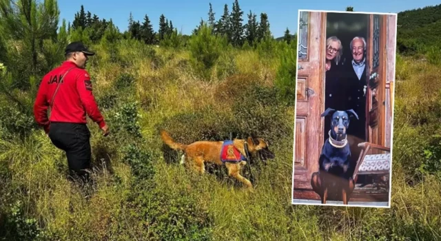 23 gündür kayıp! Korhan Berzeg'i arama çalışmalarıyla ilgili yeni gelişme