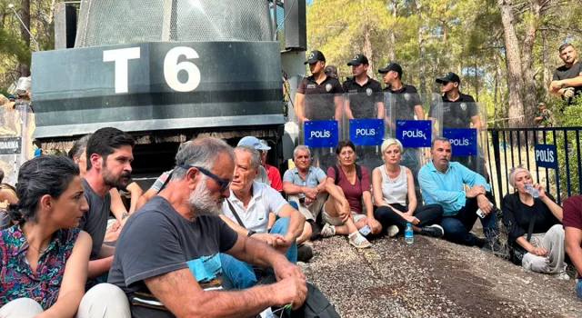 Sivil toplum kuruluşlarından Akbelen çağrısı: Ormanları feda edemeyiz