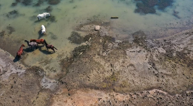 İzmir'deki Tahtalı Barajı'nda doluluk son 14 yılın en düşük seviyesinde