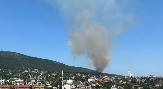 Pendik Aydos Ormanı'nda yangın