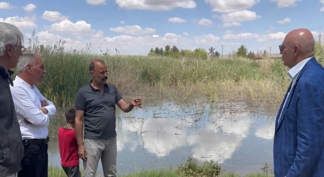 CHP’li Tanal'dan Suruç'taki taban suyu için Ombudsmanlık'a şikayet