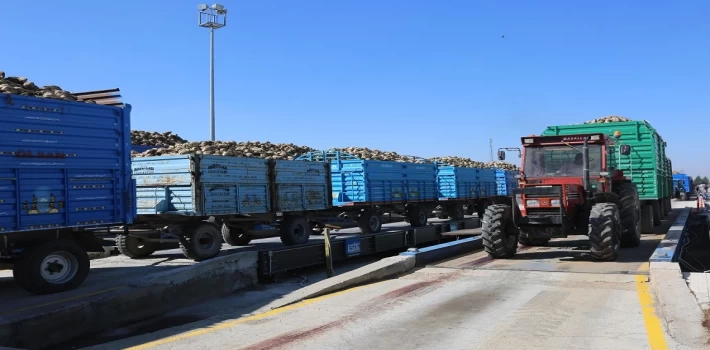 Konya’da pancar alımları başladı... Bu yıl verim iyi!