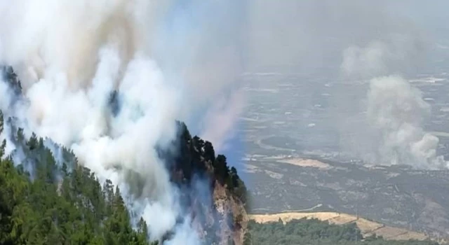 Muğla, Antalya ve İzmir'de orman yangını