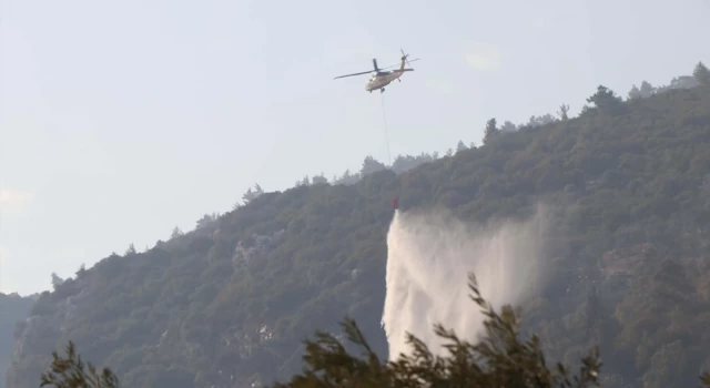 Muğla Menteşe'deki orman yangınına müdahale 4'üncü gününde sürüyor