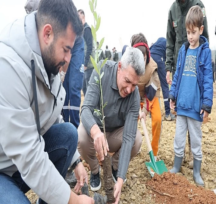 Kandıra’da 1.500 Defne Fidanı Toprakla Buluştu.