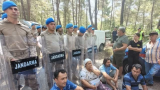 Akbelen Ormanı’nda ağaçların kesilmesine karşı çıkanlara jandarma müdahalesi