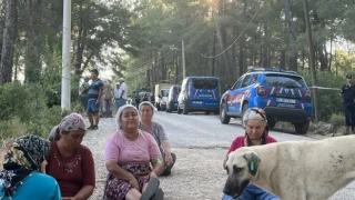 Akbelen’de ağaç katliamına direnen köylüler oturma eyleminde