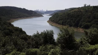 İstanbul'un barajları alarm veriyor: Uzmanlardan tasarruf uyarısı