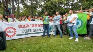 İBB bünyesindeki Ağaç A.Ş. işçilerinin direnişi olumlu sonuçlandı